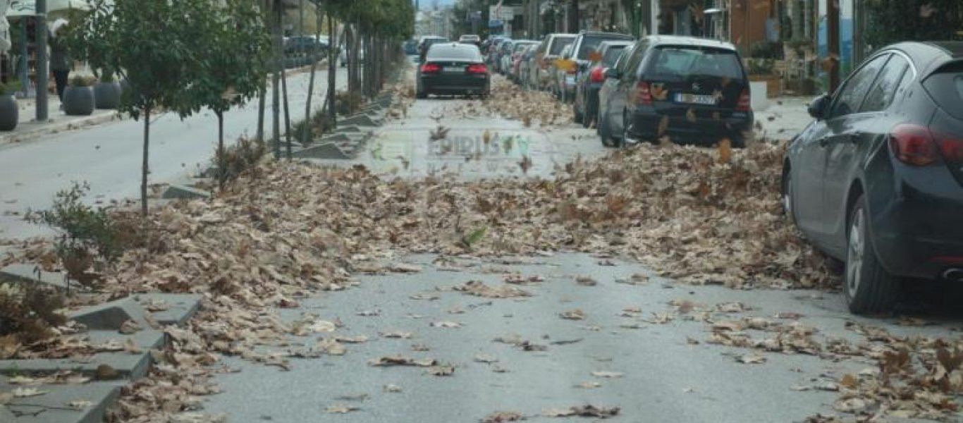 Δυνατός αέρας μαστιγώνει την Ήπειρο